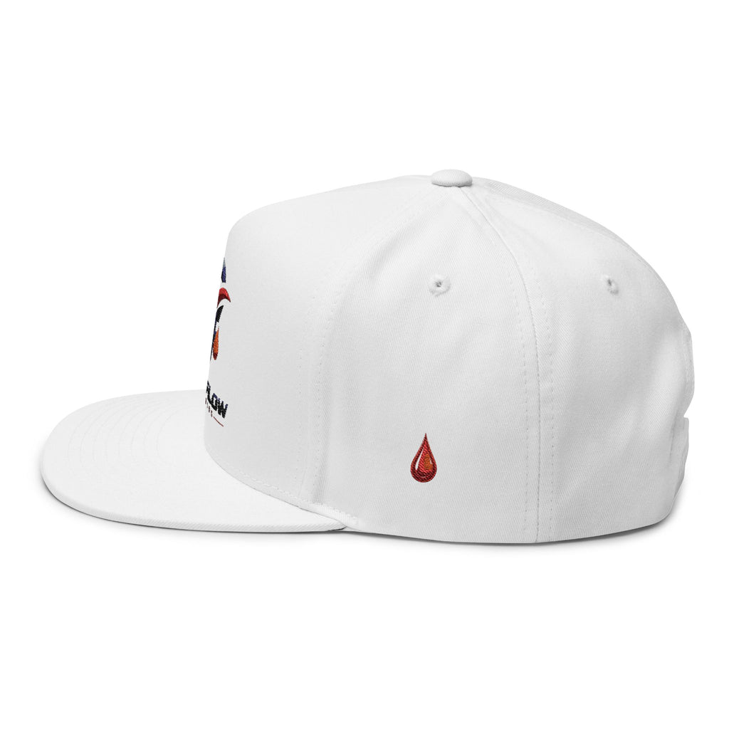 Hellflow Studios Embroidered Flat Bill Cap — Logo Snapback Hat